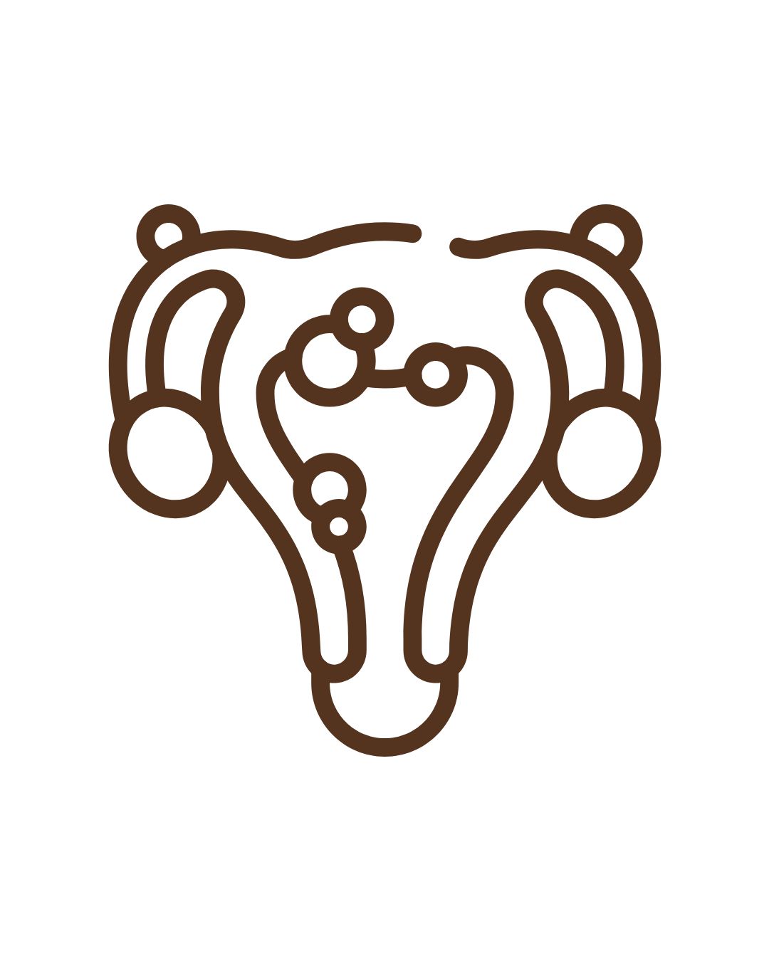 Endometriose e fertilidade